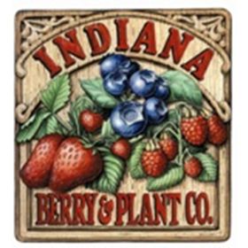 (SOLD OUT 2026 SEASON) Paw Paw - Shenandoah