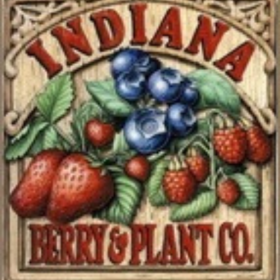SOLD OUT 2026 SEASON - Honeyberry Boreal Blizzard 
