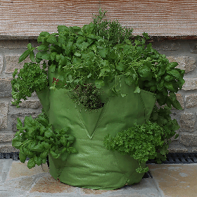 Patio Planter PKG OF 2